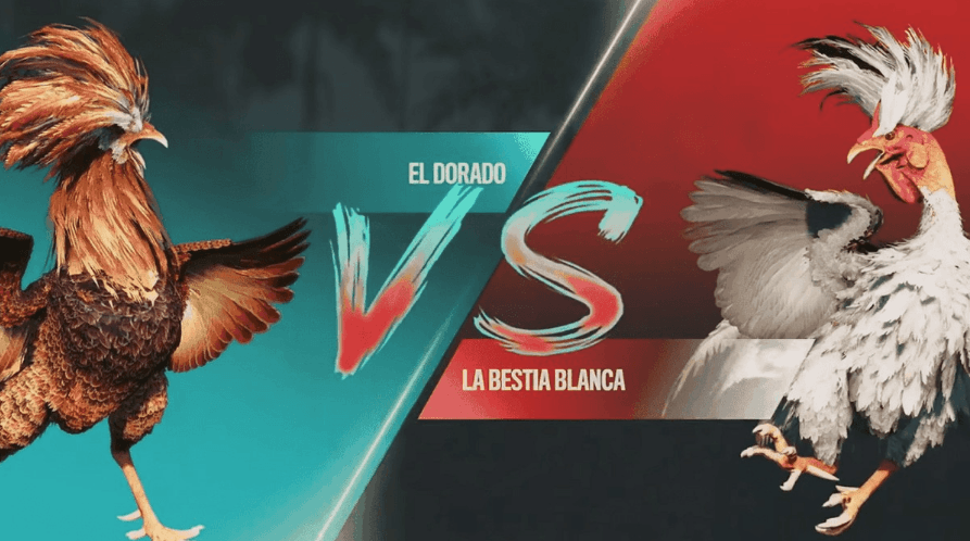 700bra Plataforma Oficial Login